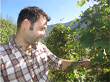 marco cesana